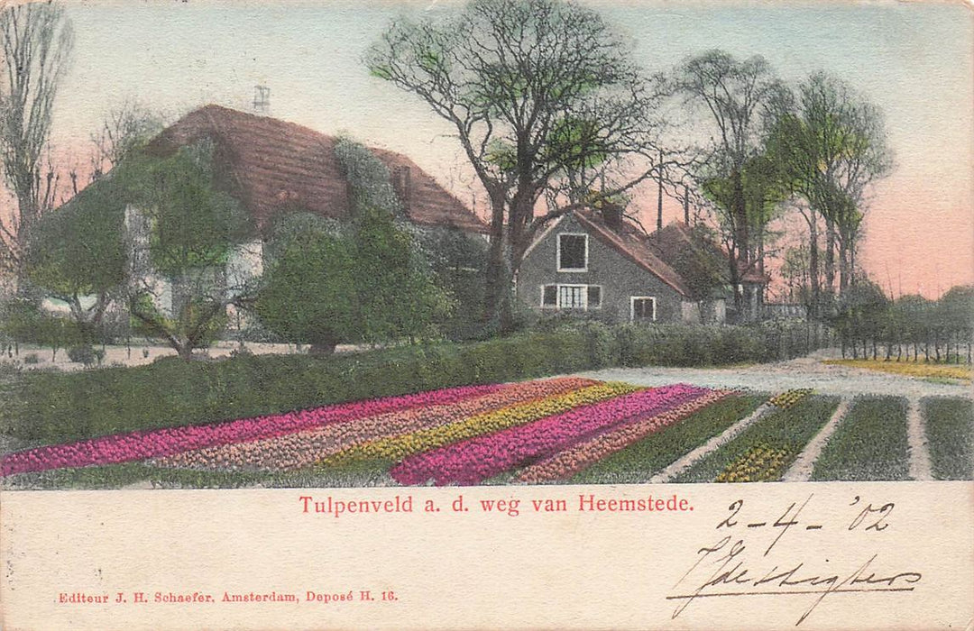 Tulpenveld A D Weg Van Heemstede
