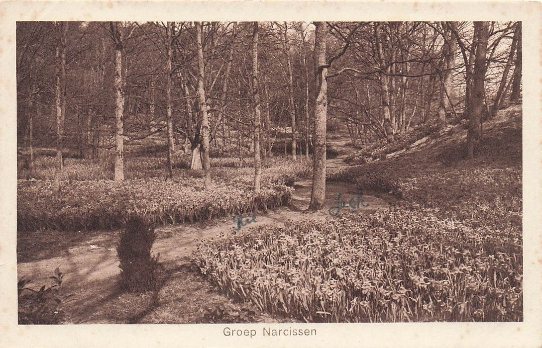 Internationale Voorjaars-Bloemententoonstelling Heemstede 1925