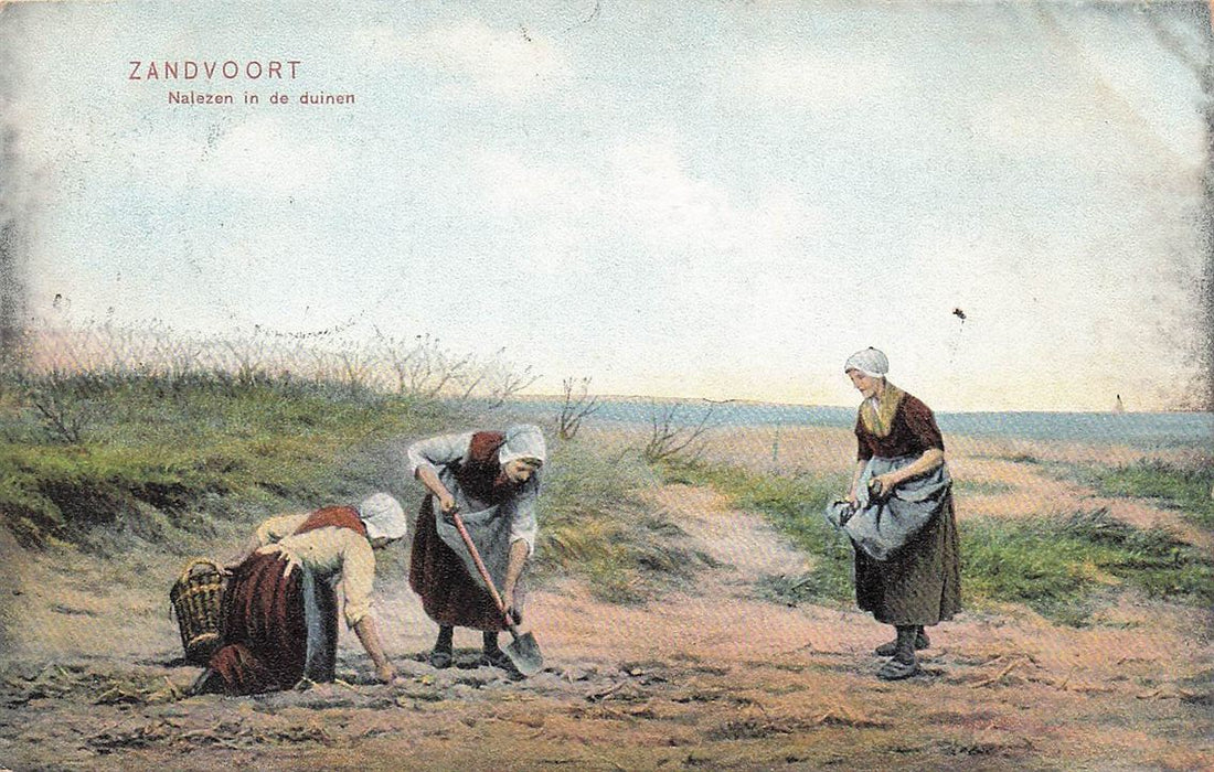 Zandvoort Nalezen In De Duinen