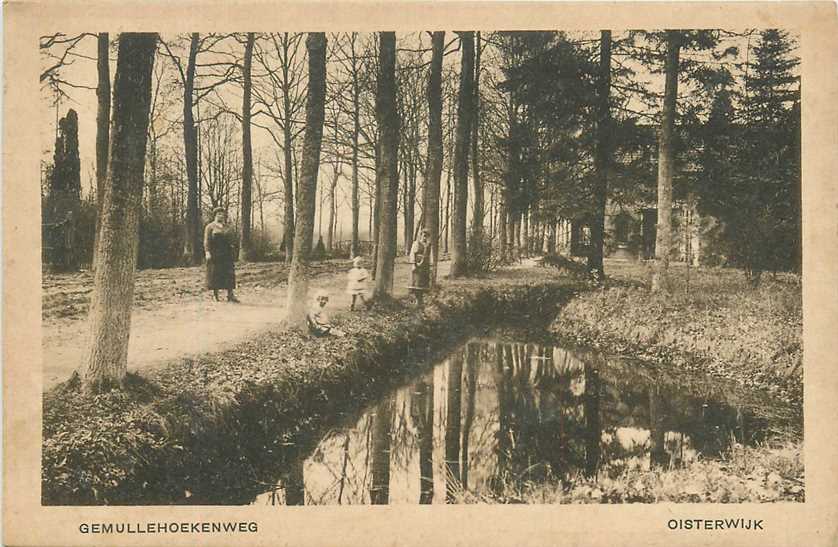 Oisterwijk Gemullehoekenweg