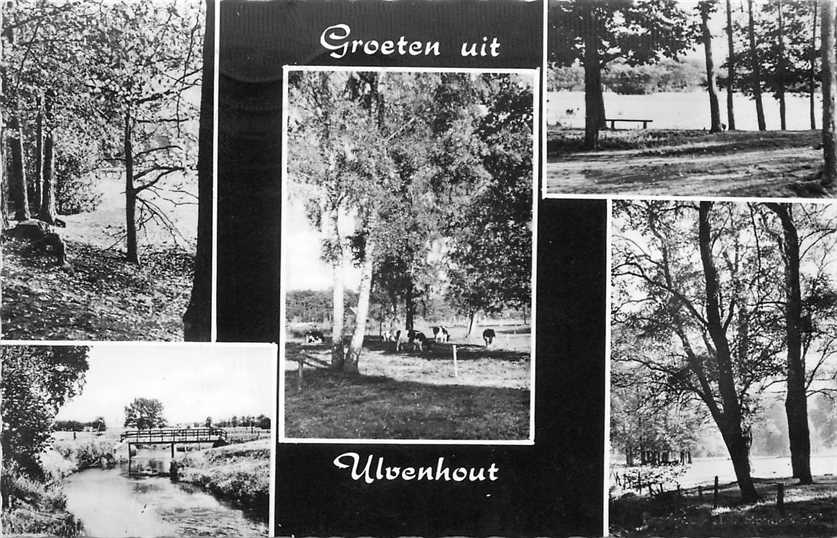 Ulvenhout