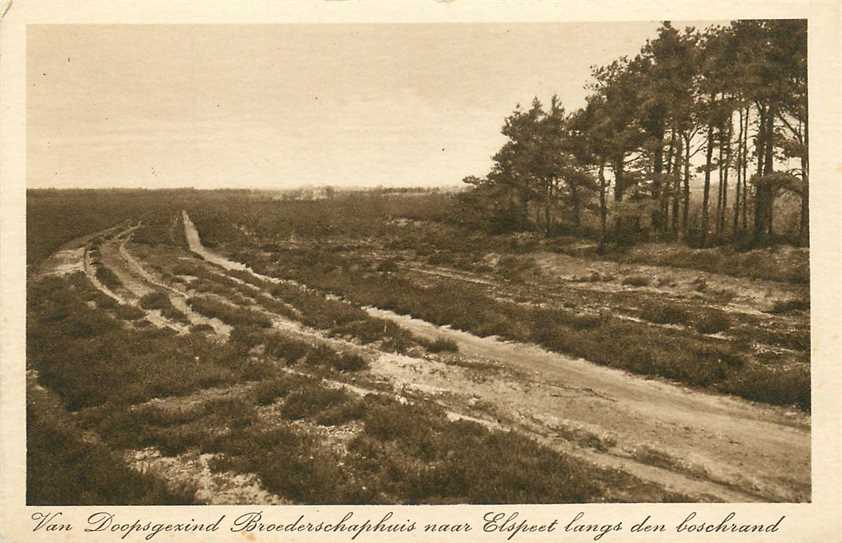 Elspeet Langs den boschrand