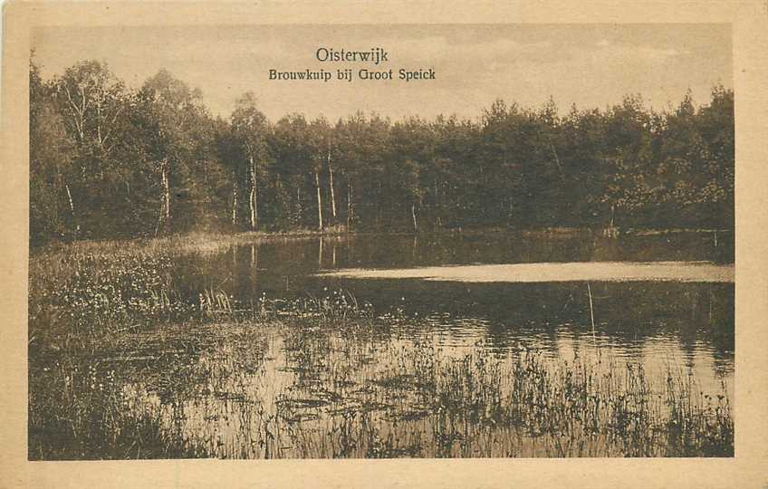 Oisterwijk Brouwkuip bij Groot Speick