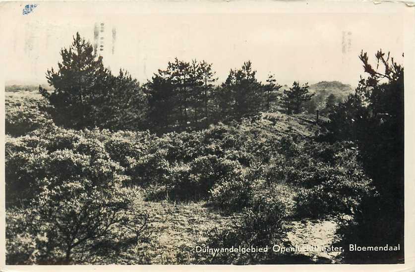 Bloemendaal Duinwandelgebied Openluchttheater