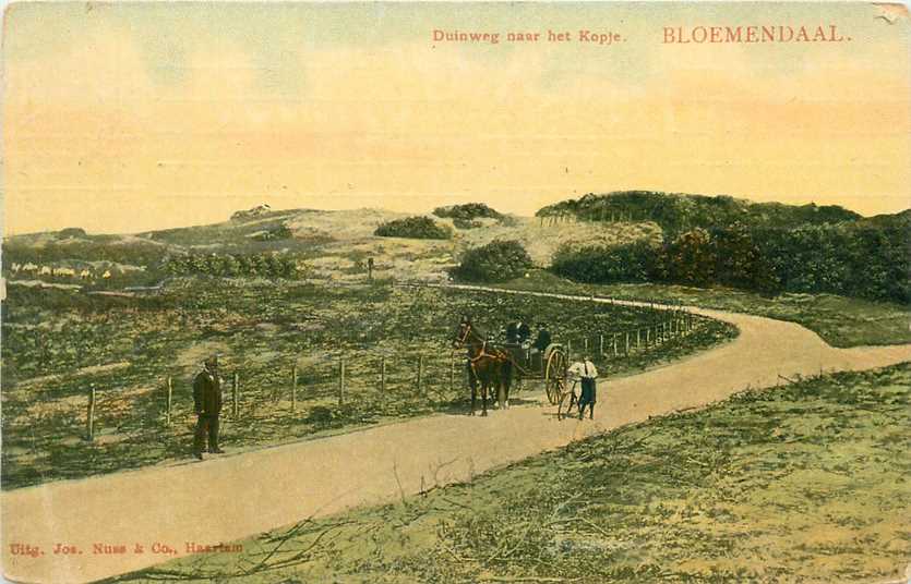 Bloemendaal Duinweg naar het Kopje