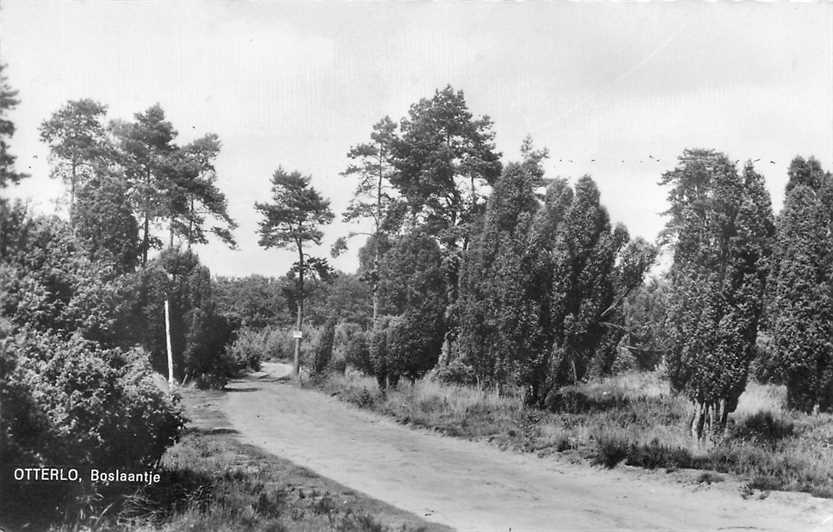 Otterlo Boslaantje