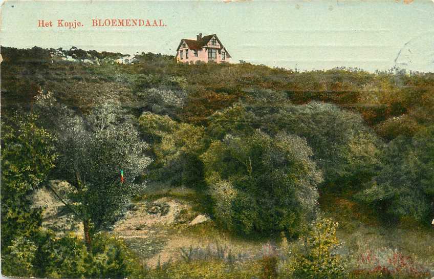 Bloemendaal Het Kopje