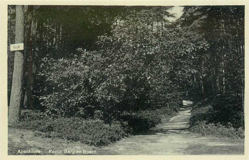 Apeldoorn Ravijn Berg en Bosch