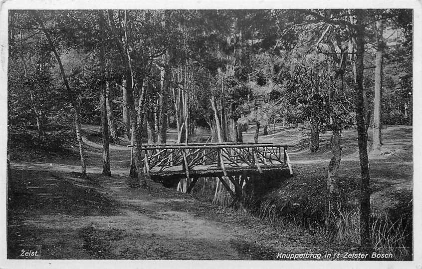 Zeist Knuppelbrug in 't Zeister Bosch