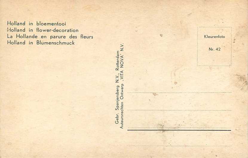 Nederland Holland in Bloementooi