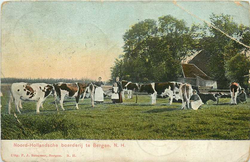 Bergen (NH) Noord-Hollandsche boerderij te Bergen