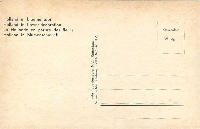 Nederland Holland in Bloementooi