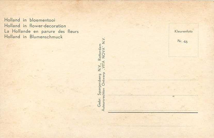 Nederland Holland in bloementooi