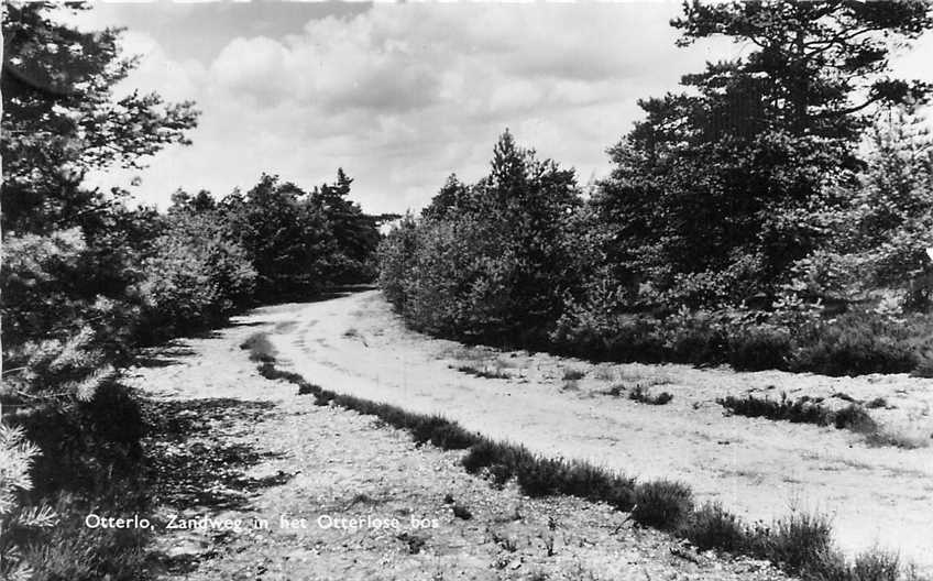 Otterlo Zandweg in het Otterlose Bos