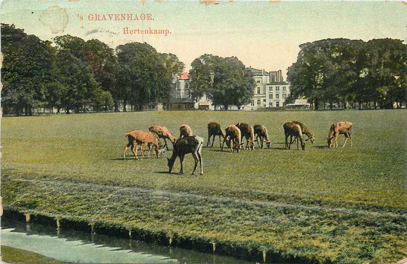 Den Haag Hertenkamp