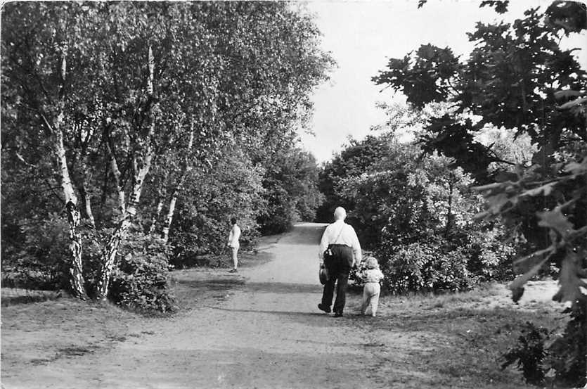 Laren Kampeercentrum De Heidebloem