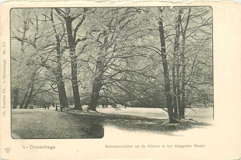 Den Haag Schaatsenrijden op de Vijvers in het Haagsche Bosch