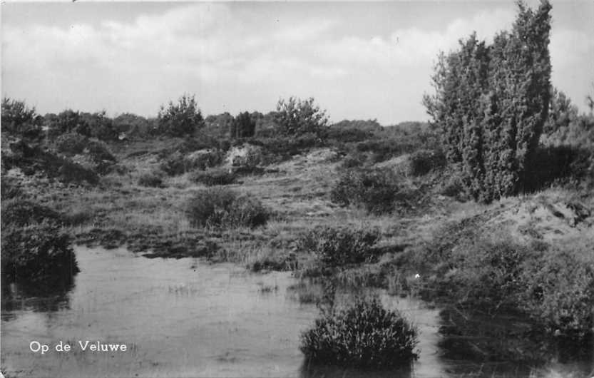 Op de Veluwe