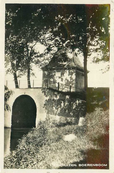 Enkhuizen Boerenboom