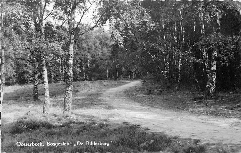 Oosterbeek Bosgezicht de Bilderberg