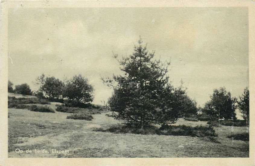 Elspeet Op de Heide