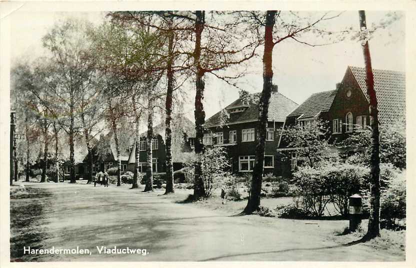 Harendermolen Viaductweg