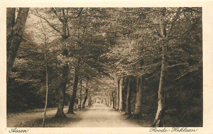 Assen Roode Heklaan