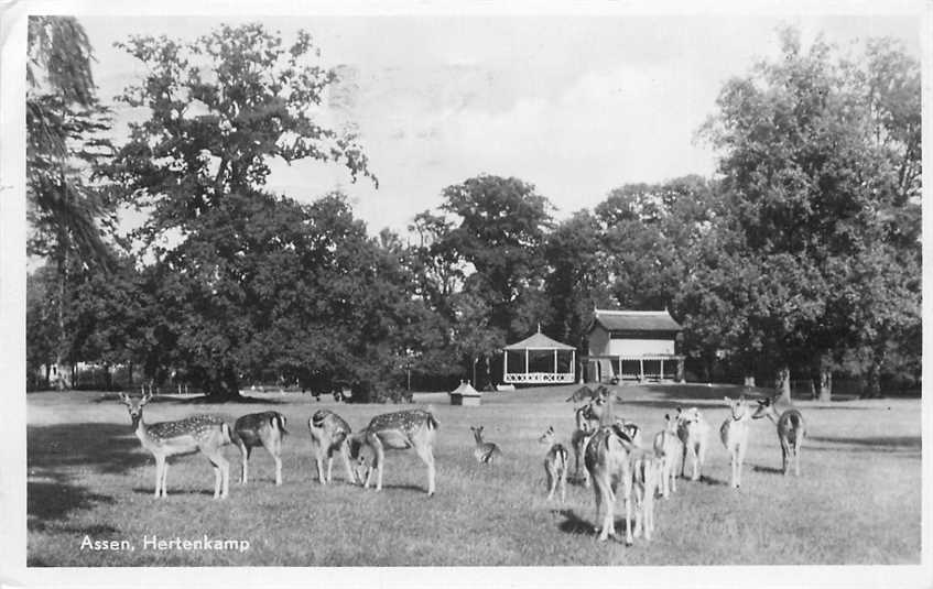 Assen Hertenkamp