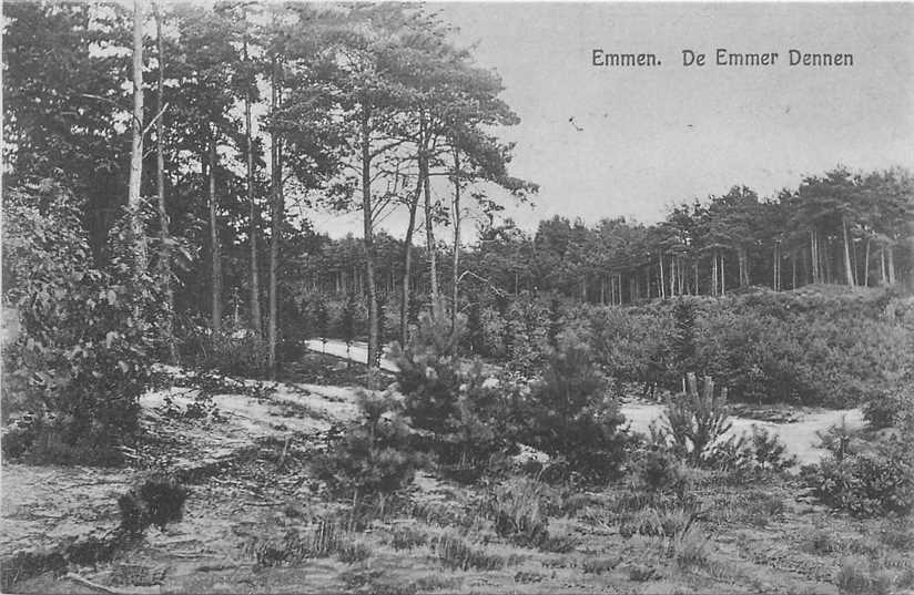 Emmen De Emmer Dennen