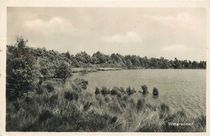 Bovensmilde Wittezomer