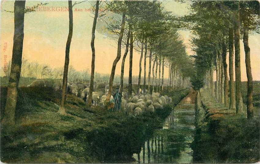 Driebergen-Rijsenburg