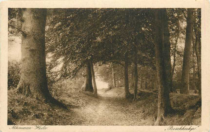 Alkmaar Boschkiekje