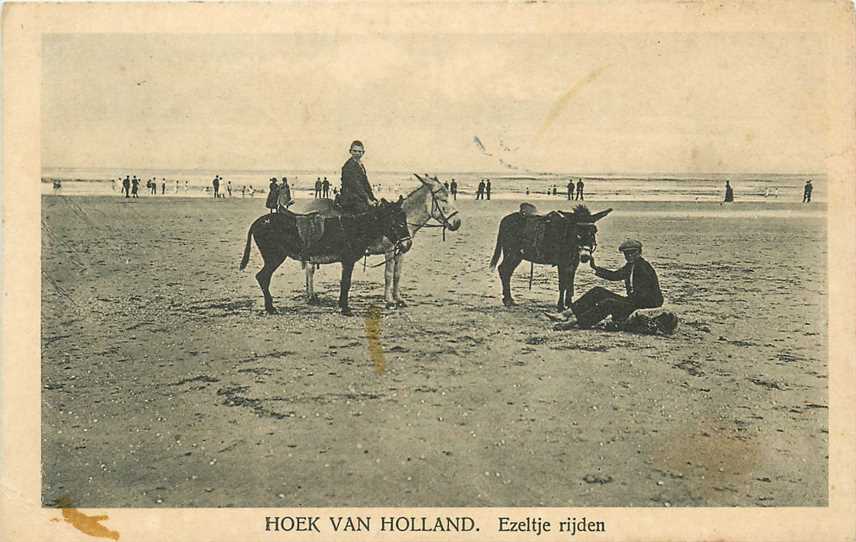 Hoek van Holland Ezeltje rijden