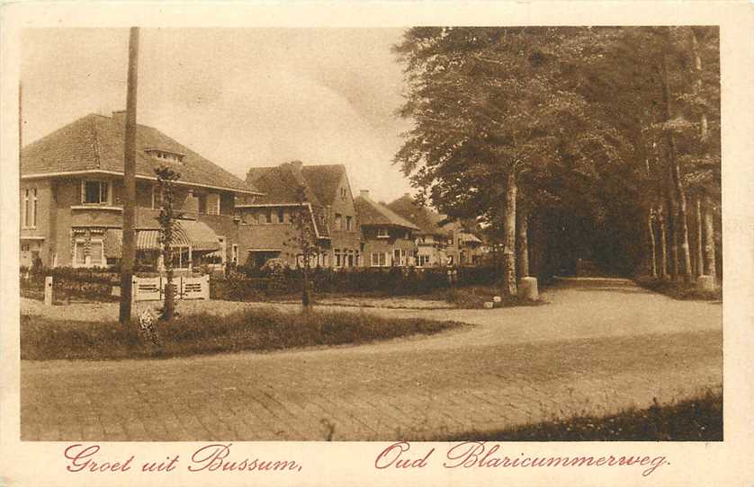 Bussum Oud Blaricummerweg