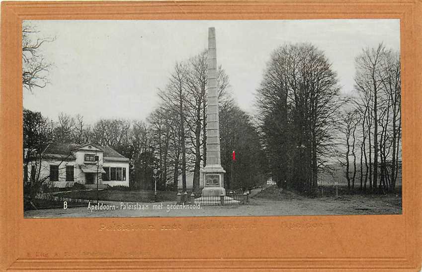 Apeldoorn Paleislaan met gedenknaald