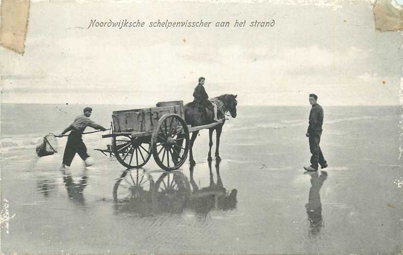 Noordwijk Schelpenvisscher