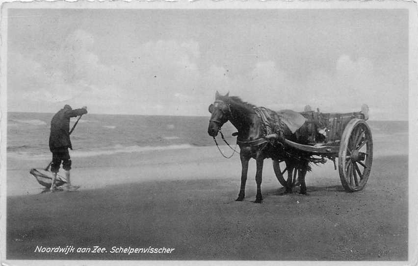 Noordwijk Schelpenvisscher