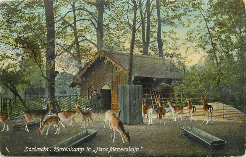 Dordrecht Hertenkamp