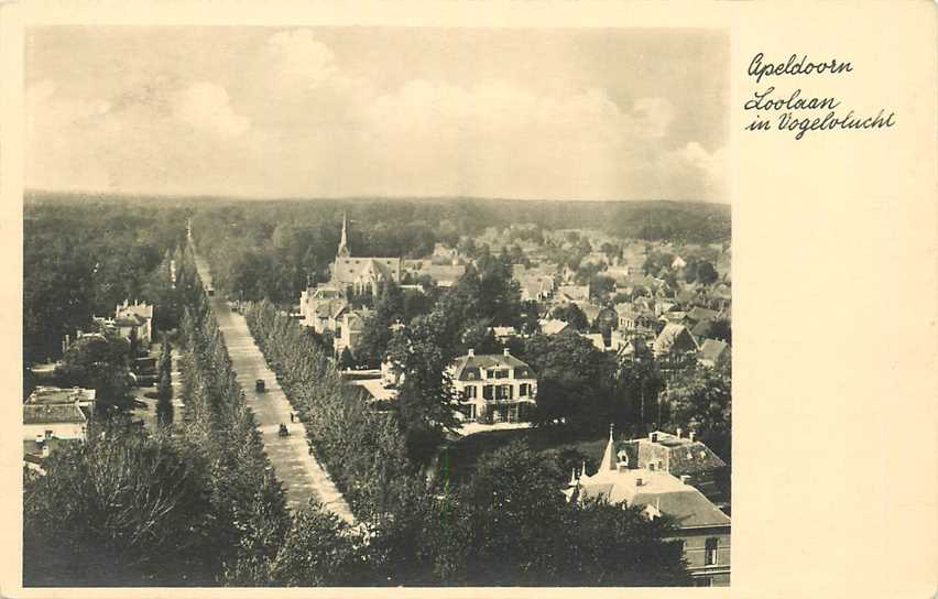 Apeldoorn Loolaan in Vogelvlucht