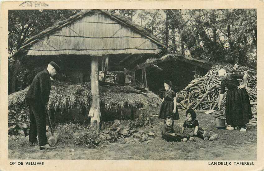 Veluwe Landelijk Tafereel