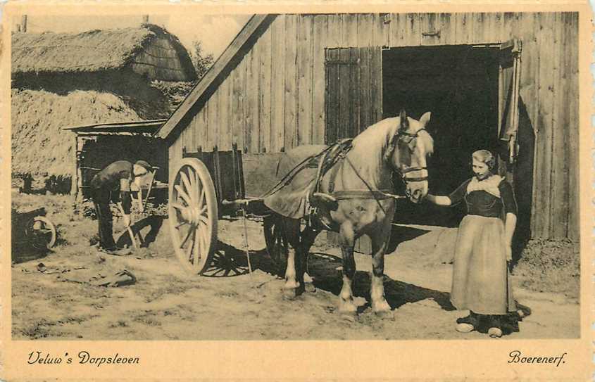 Veluwe Boerenerf