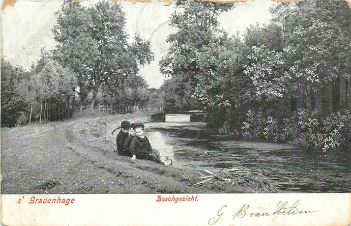 Den Haag Boschgezicht