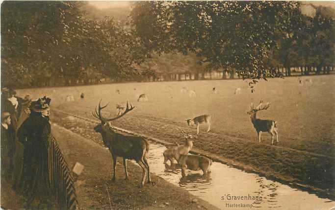 Den Haag Hertenkamp