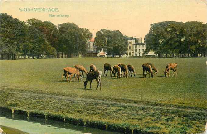 Den Haag Hertenkamp