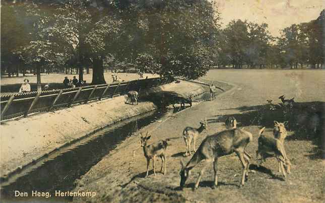 Den Haag Hertenkamp