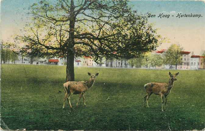 Utrecht Hertenkamp