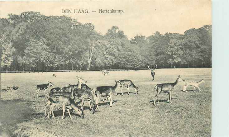 Den Haag Hertenkamp