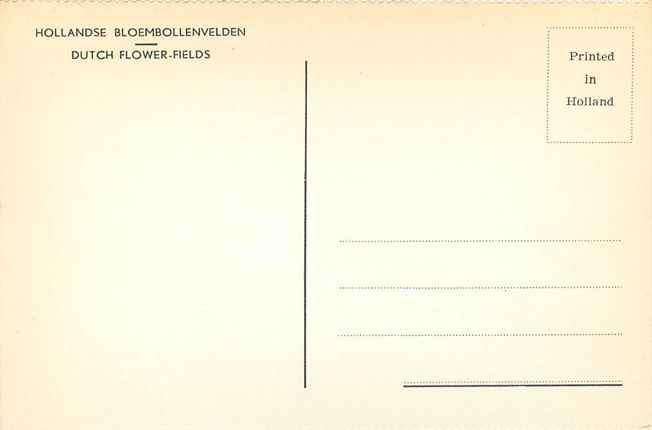 Nederland Hollandse Bloembollenvelden