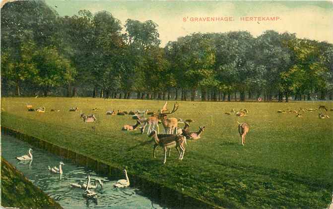 Den Haag Hertenkamp