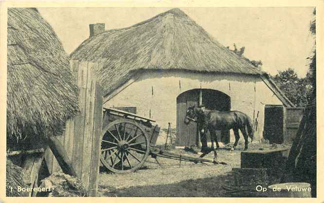 Veluwe T Boerenerf